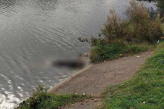 Из водохранилища в Рубежевичах достали тело пропавшего без вести мужчины