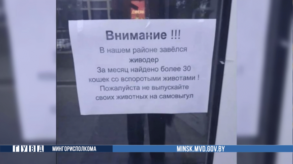В МВД опровергли информацию, что к смертям котов в Минске причастен живодер