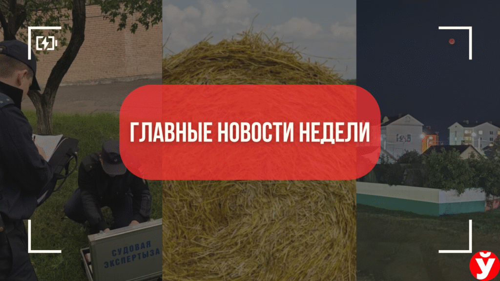 ТОП-5 новостей Минщины: соломенные арт-объекты, первый опыт следователя и красная Луна