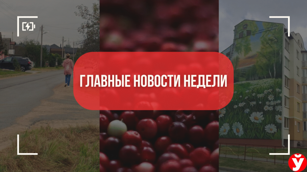 ТОП-5 новостей Минской области: «проблемный» мурал, опасный тротуар и клюквенный бум