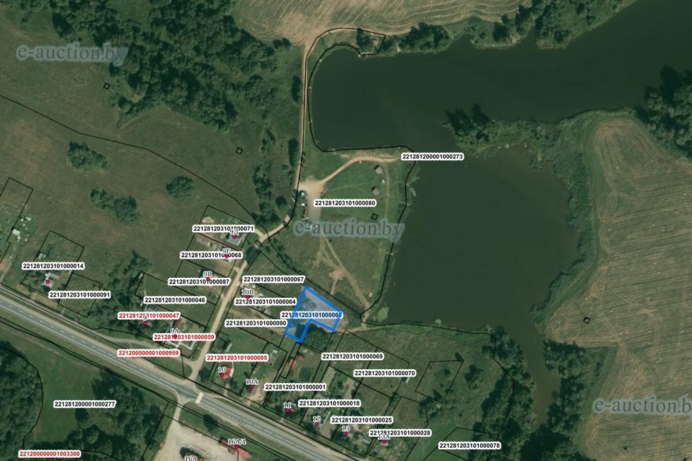 Участок на берегу озера продается в Витебской области. Цена — меньше тысячи долларов