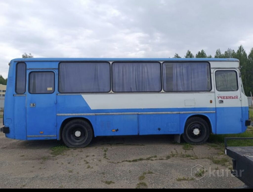 В Беларуси можно купить венгерский «Икарус». Почём такой автобус?