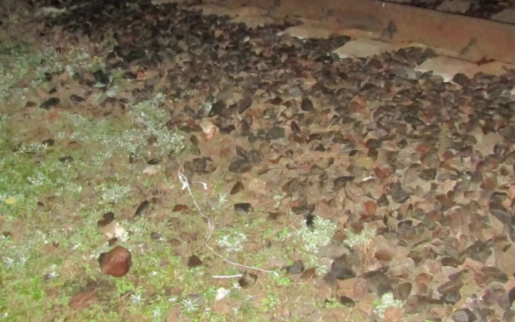 В Пинске мужчина переходил пути в наушниках и оказался под колёсами поезда