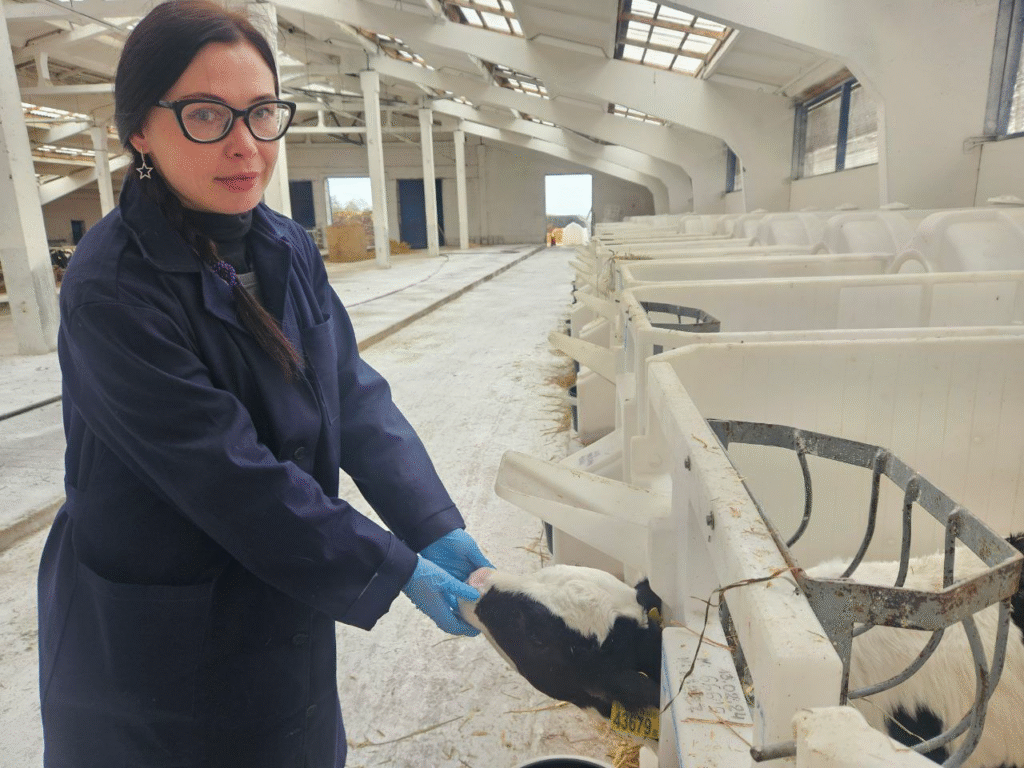 Молодечненская ветврач снимает милых телят для ТикТока и показывает фермерскую жизнь