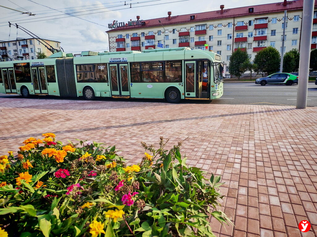 Не застрять в транспорте: как оплатить проезд 5 октября во время обновления системы