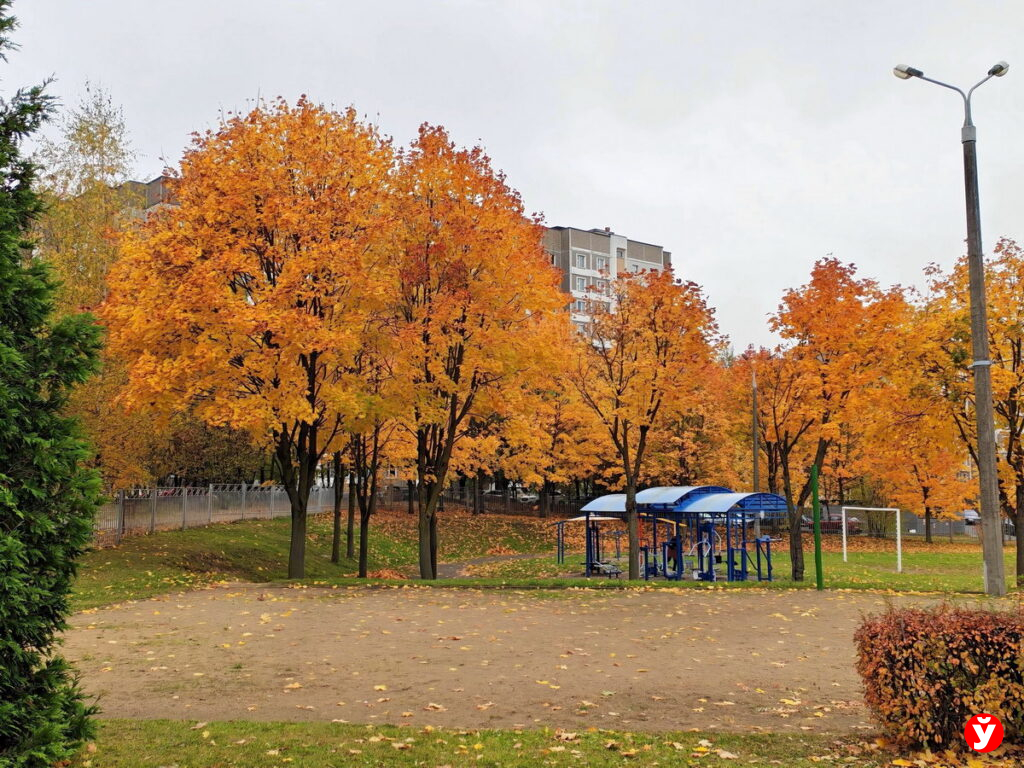 В Беларуси появился 9-миллионный адрес: где он находится