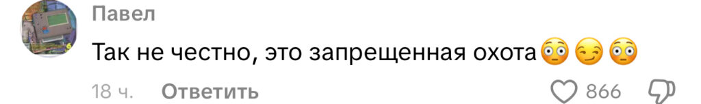 комментарий