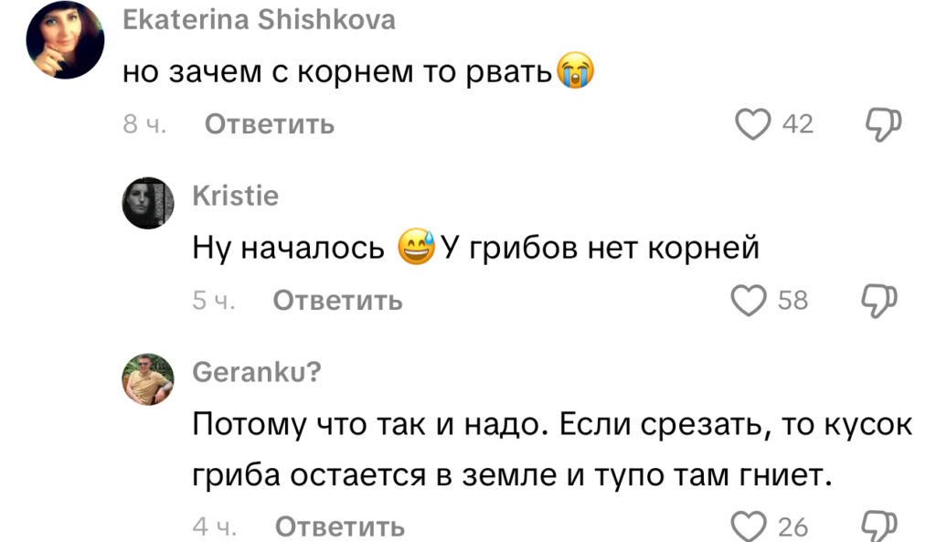 комментарий