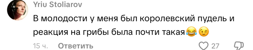 комментарий