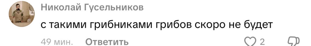 комментарий