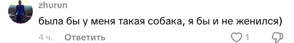 комментарий