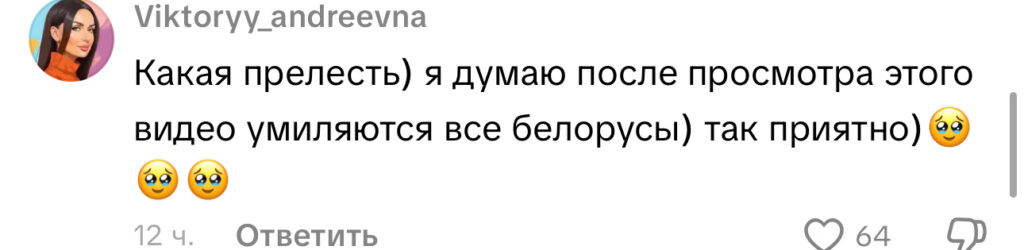 комментарий