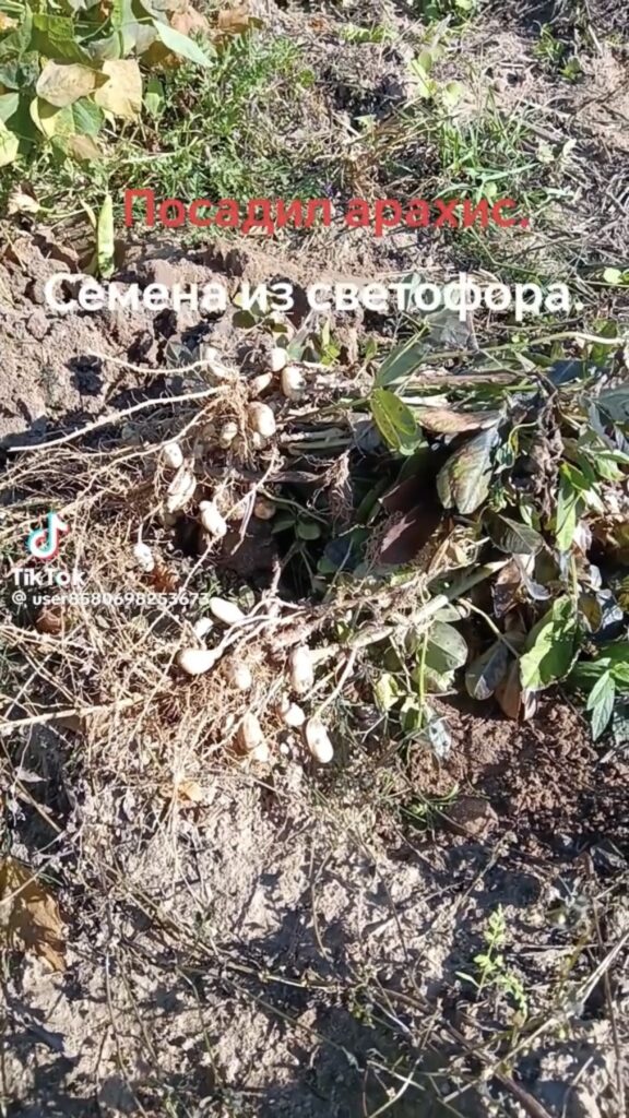 Гродно
