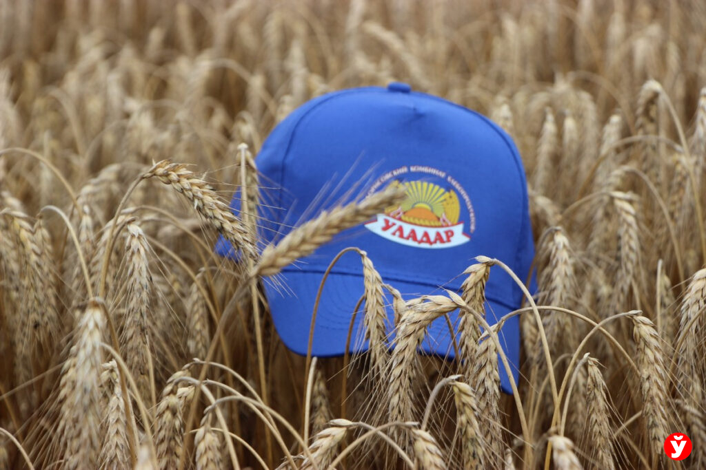 55 тыс. т зерна, мраморная говядина и цифровые технологии: как развивается агробизнес под Борисовом