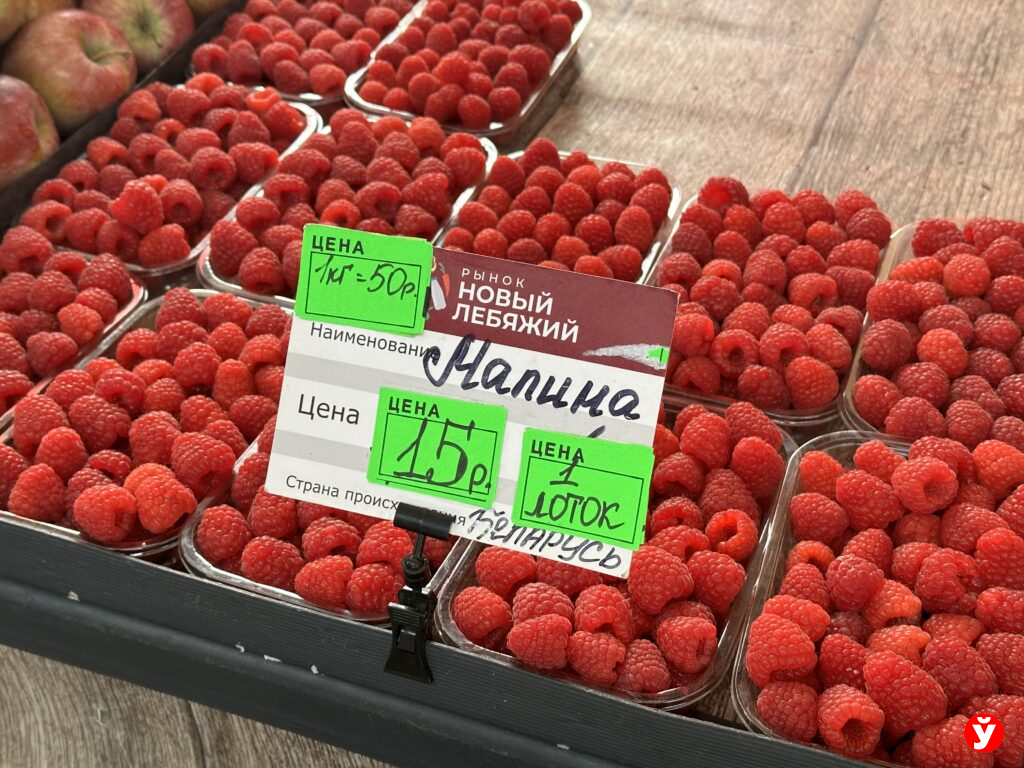 малина