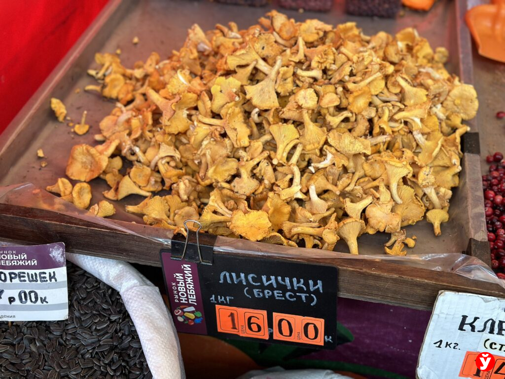 лисички