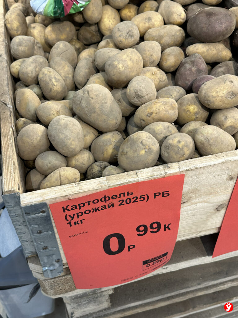 картошка