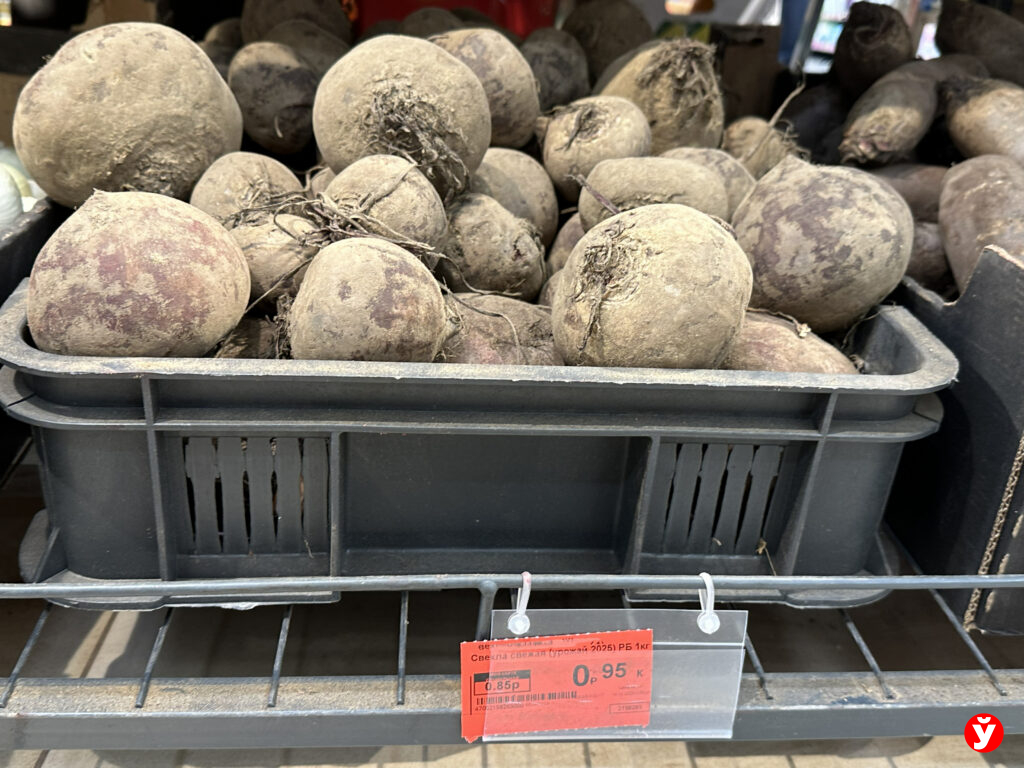 свекла