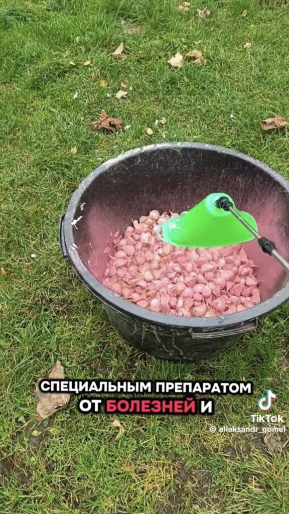 обработка