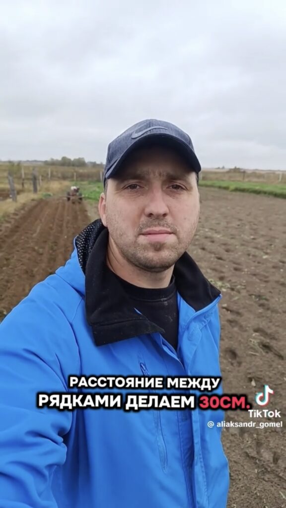 дачник