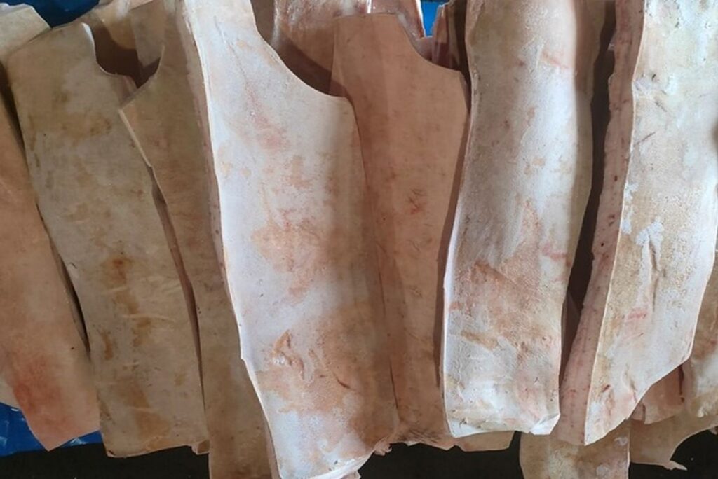 22 тонны свиного шпика из Беларуси не пропустили в Россию