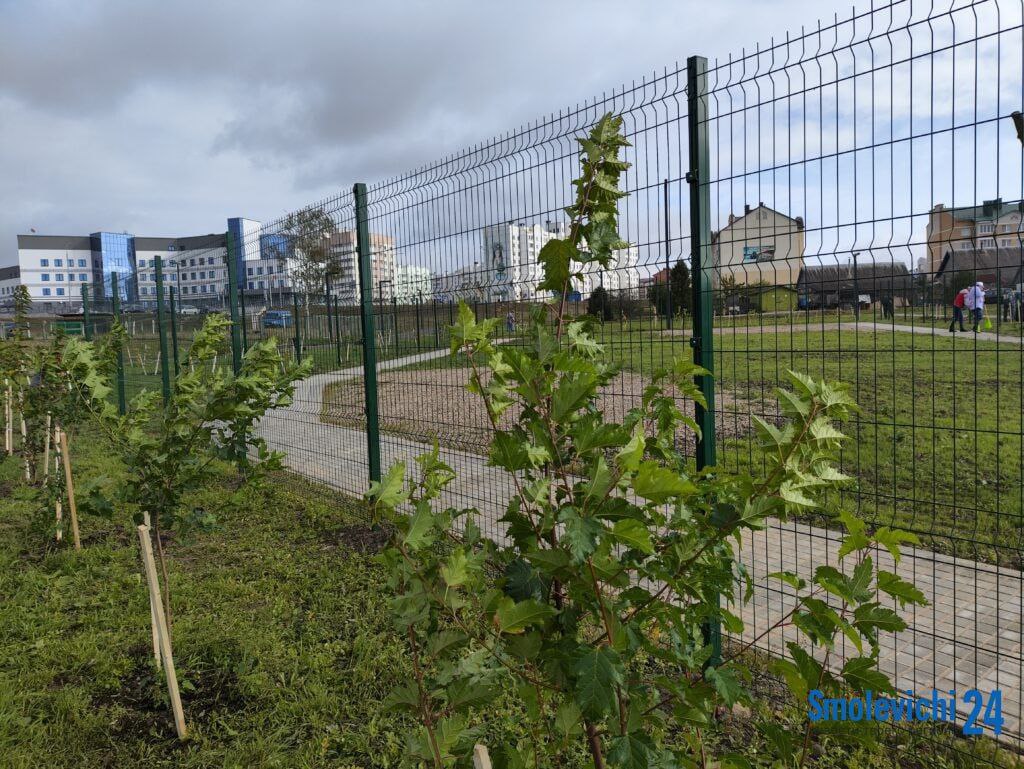 Площадку для выгула собак откроют в Смолевичах