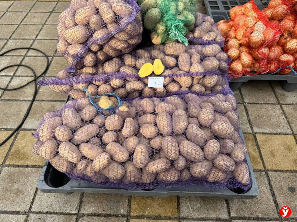 Картошка в Березино