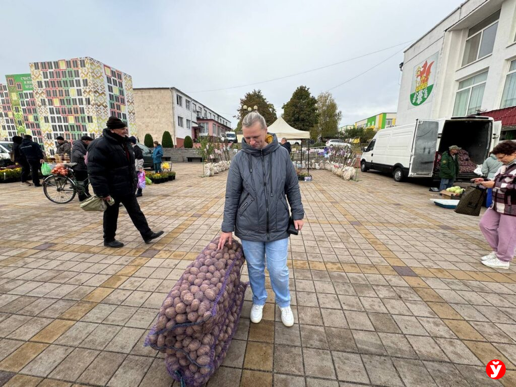 Картошка в Березино