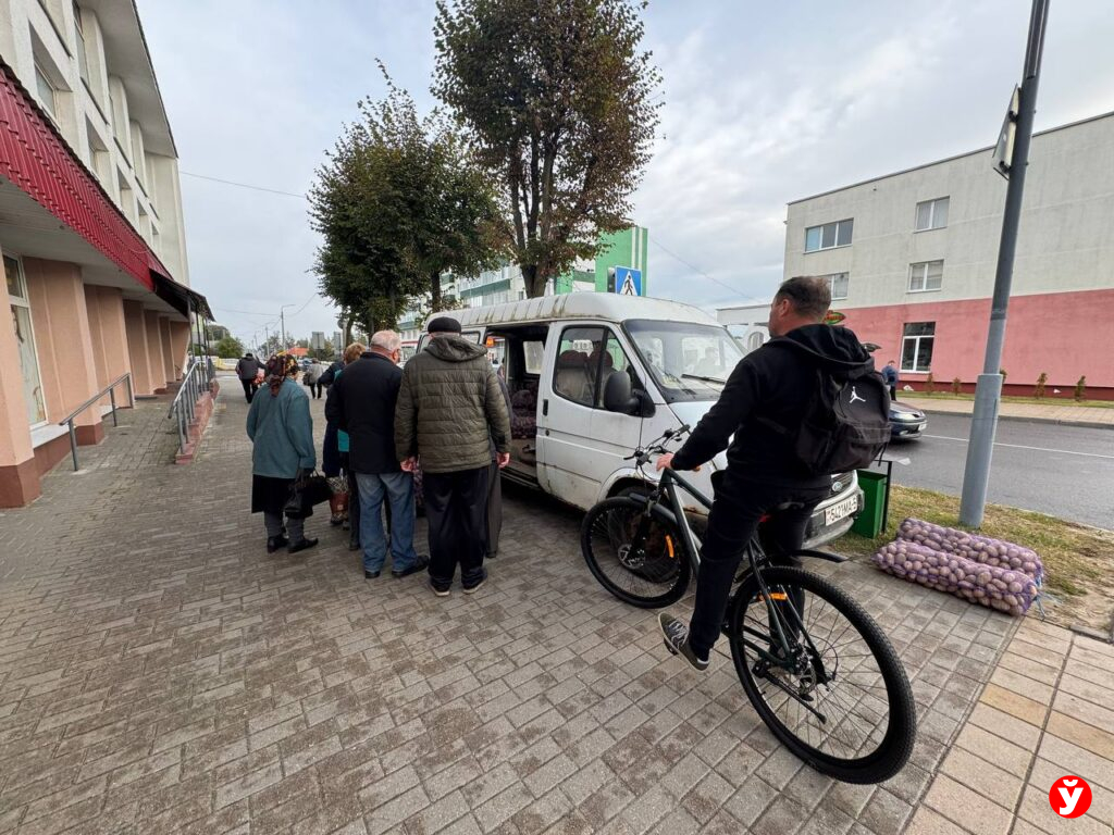 Картошка в Березино