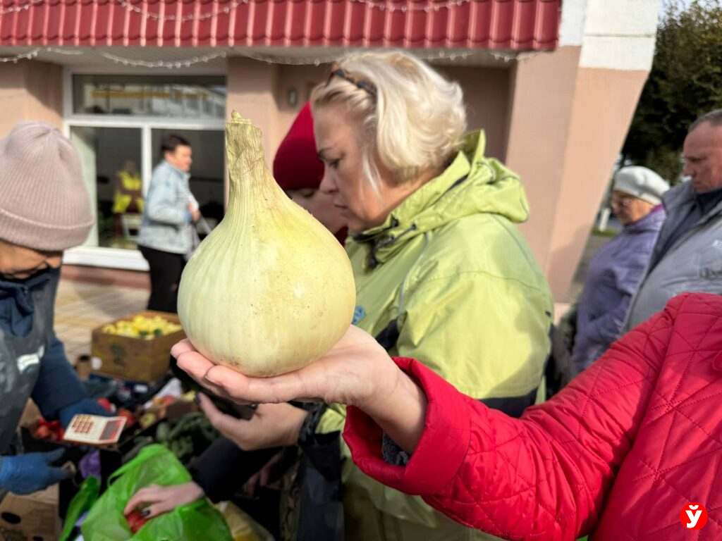 Ярмарка в Березино