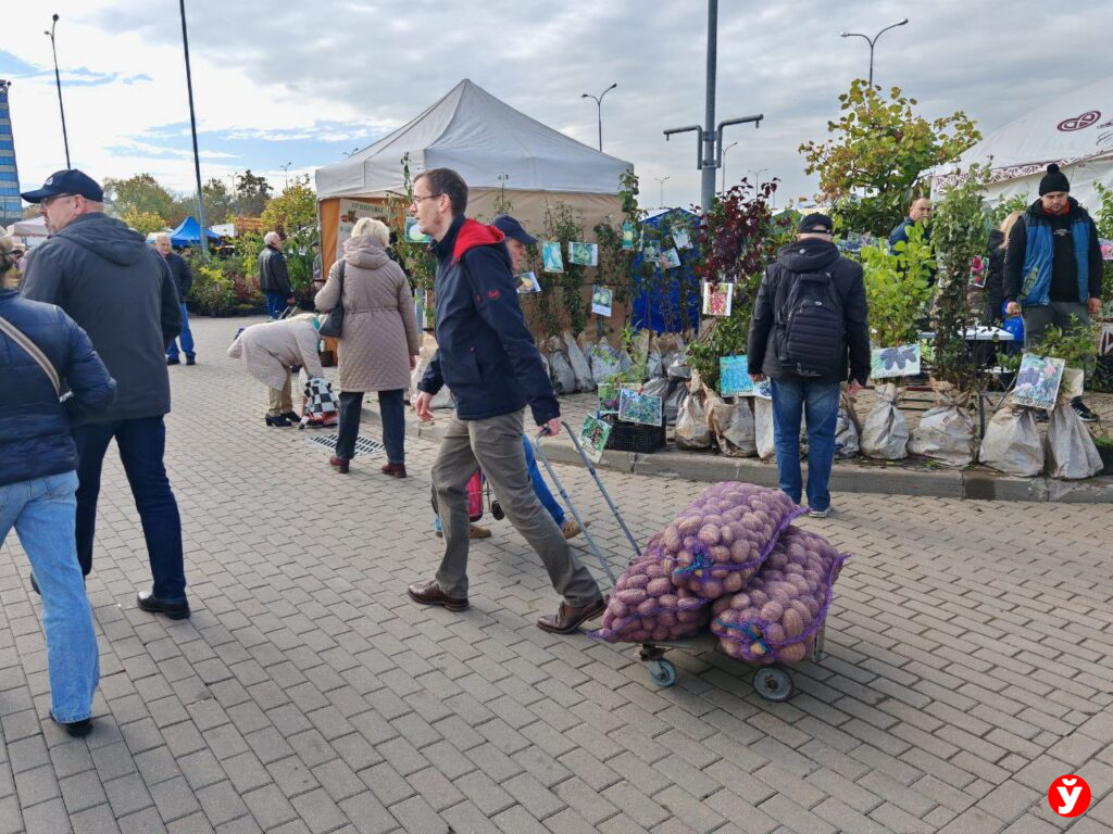 Ярмарка в Чижовка Арене