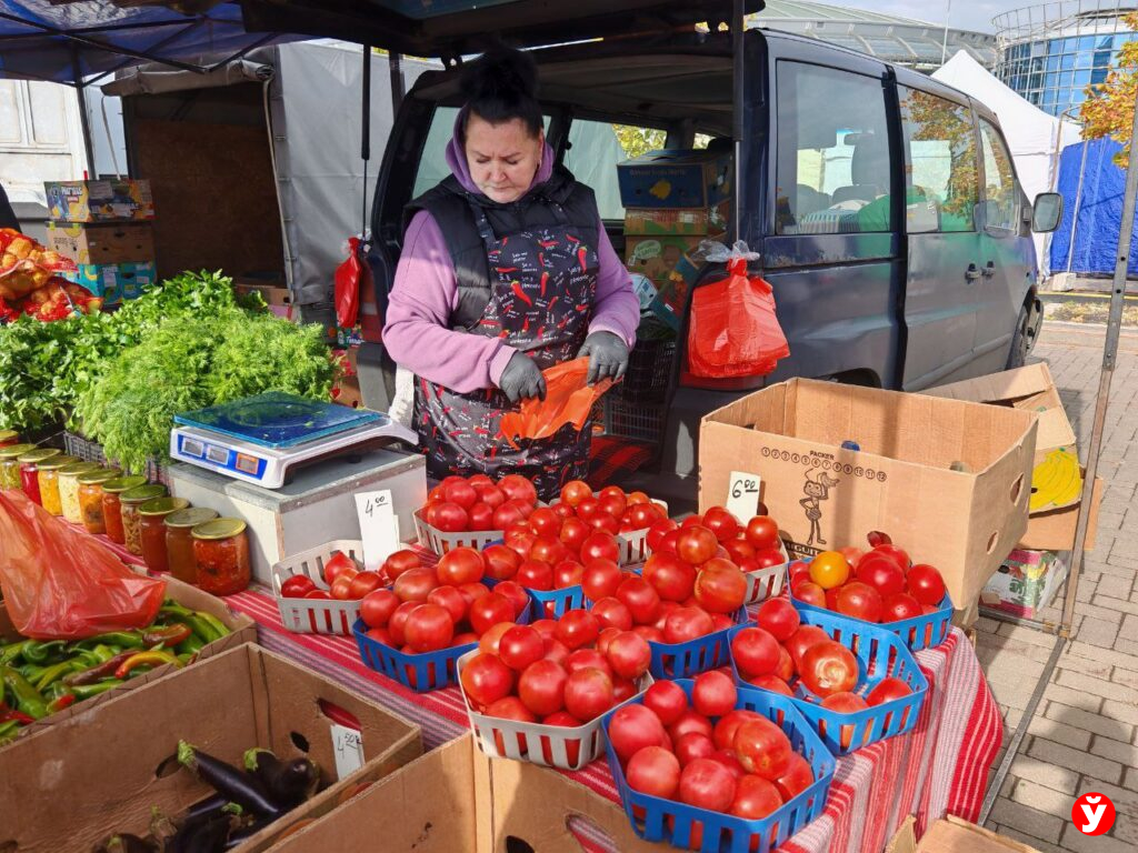 Ярмарка в Чижовка Арене