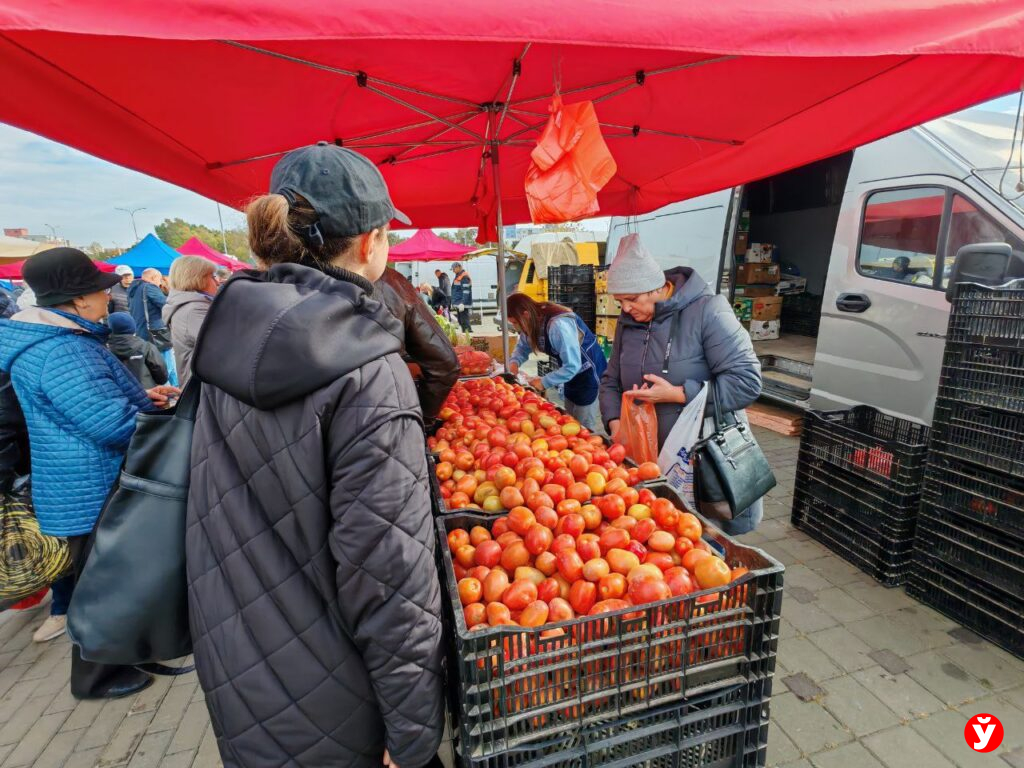 Ярмарка в Чижовка Арене