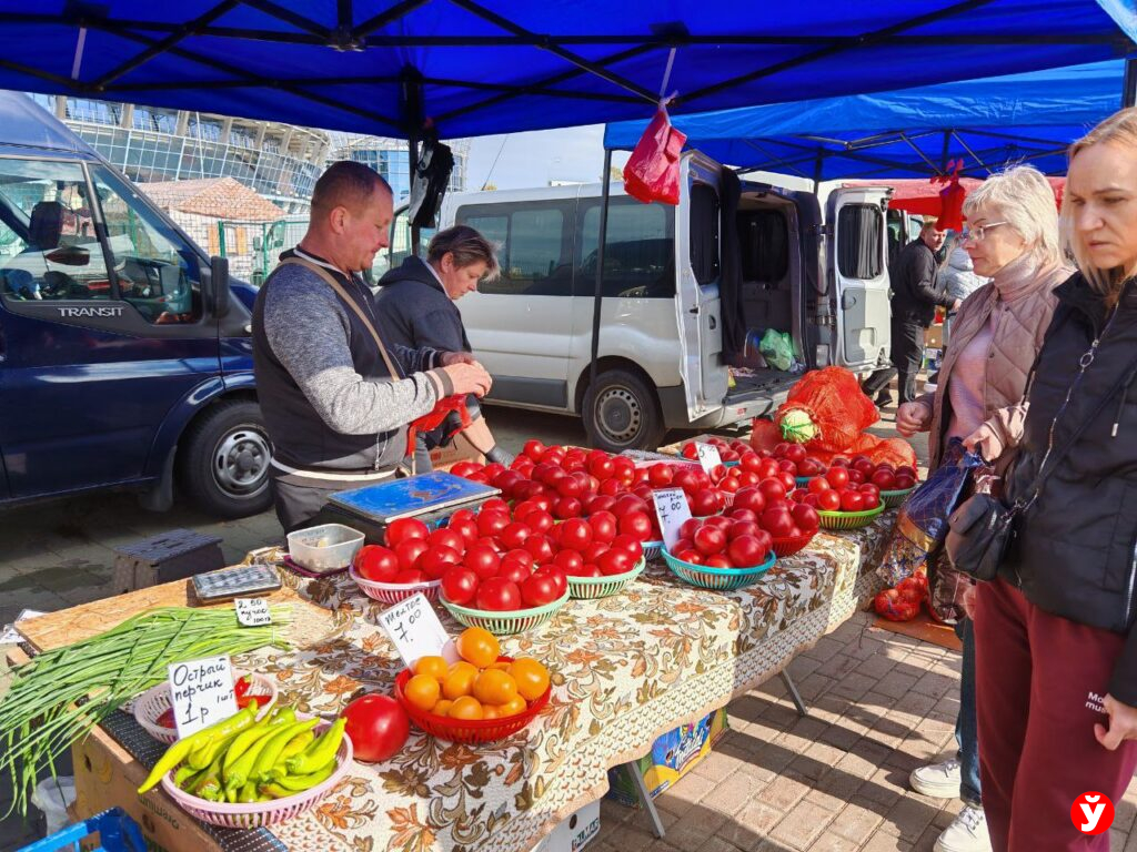 Ярмарка в Чижовка Арене