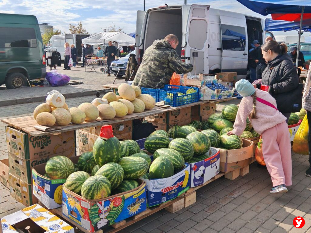 Ярмарка в Чижовка Арене