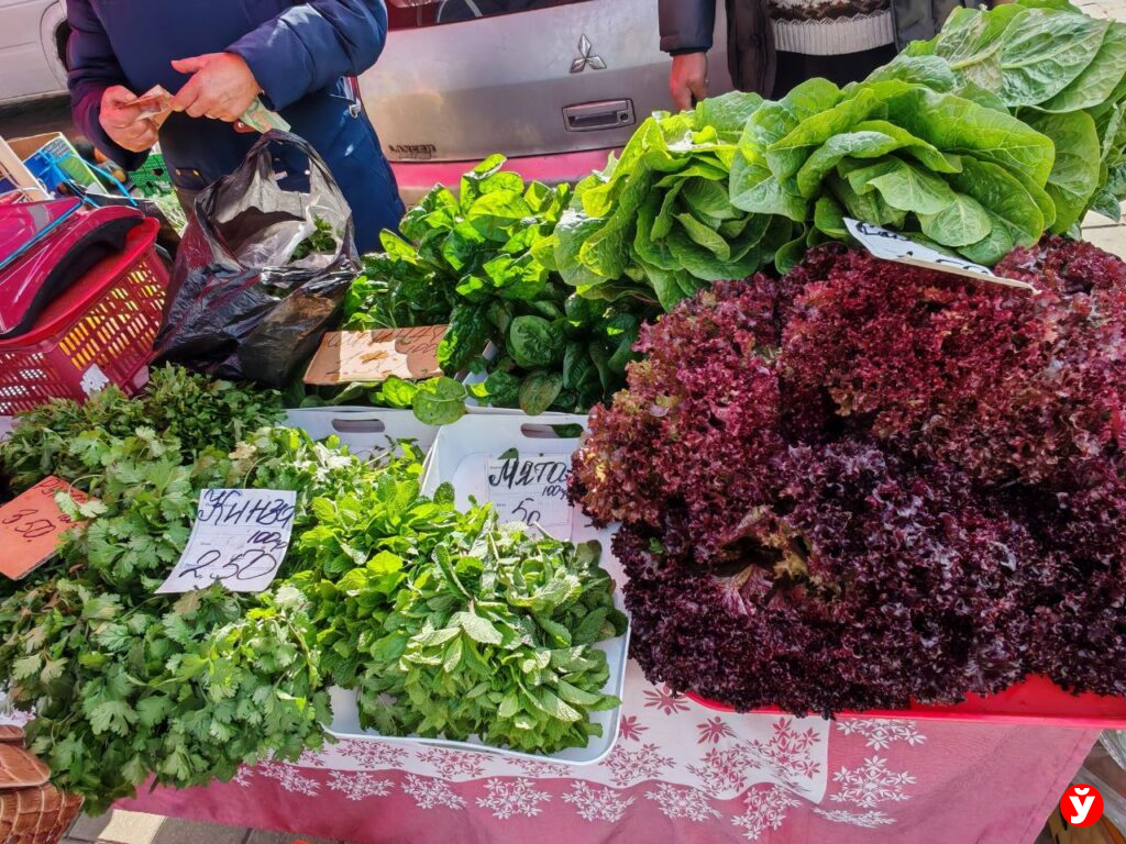 Ярмарка в Чижовка Арене