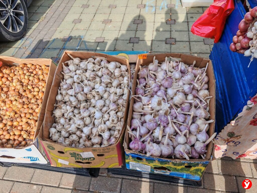 Ярмарка в Чижовка Арене