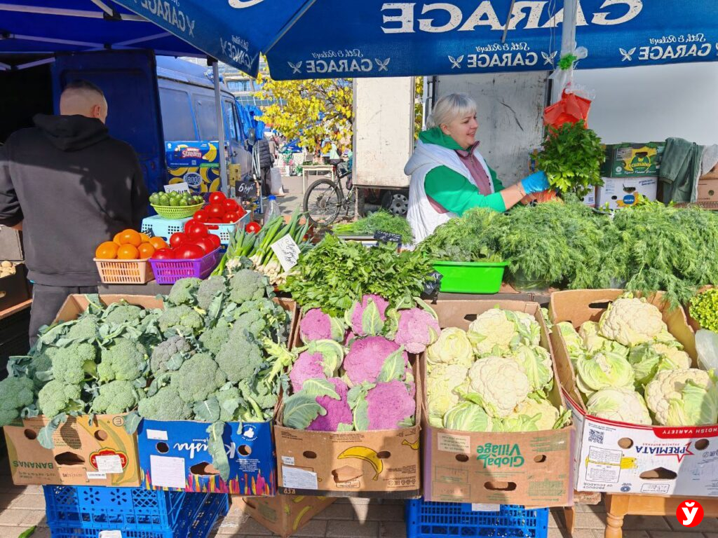 Ярмарка в Чижовка Арене