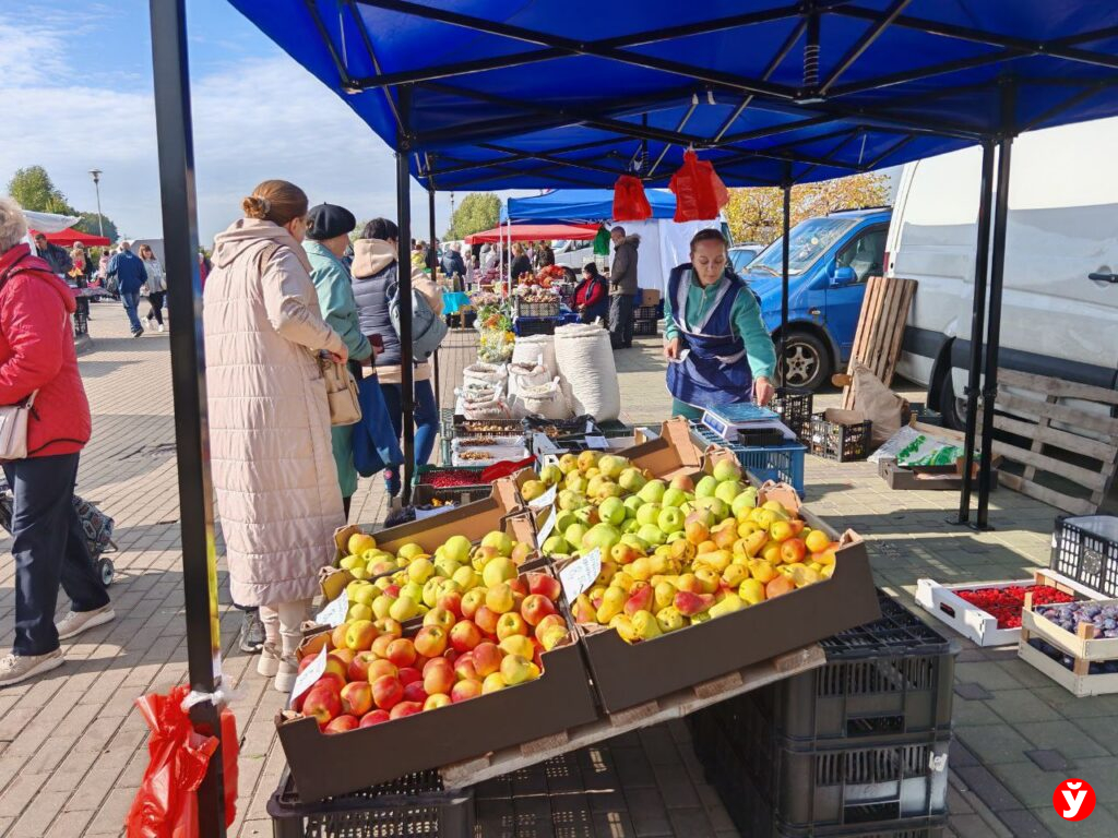 Ярмарка в Чижовка Арене