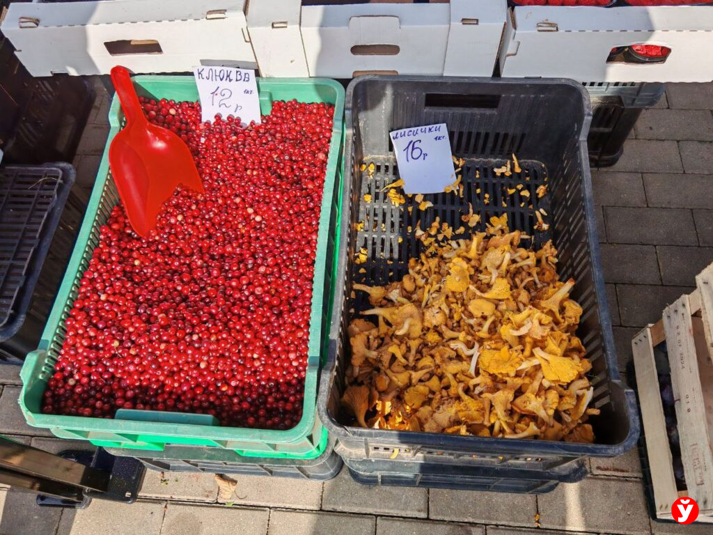 Ярмарка в Чижовка Арене