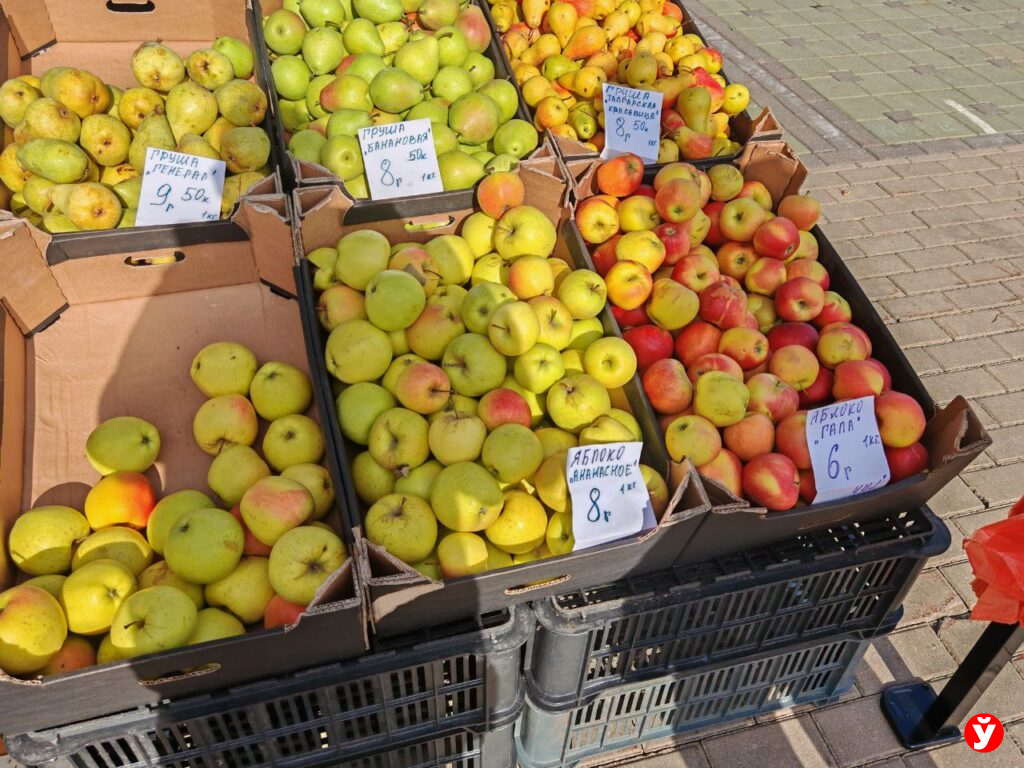 Ярмарка в Чижовка Арене