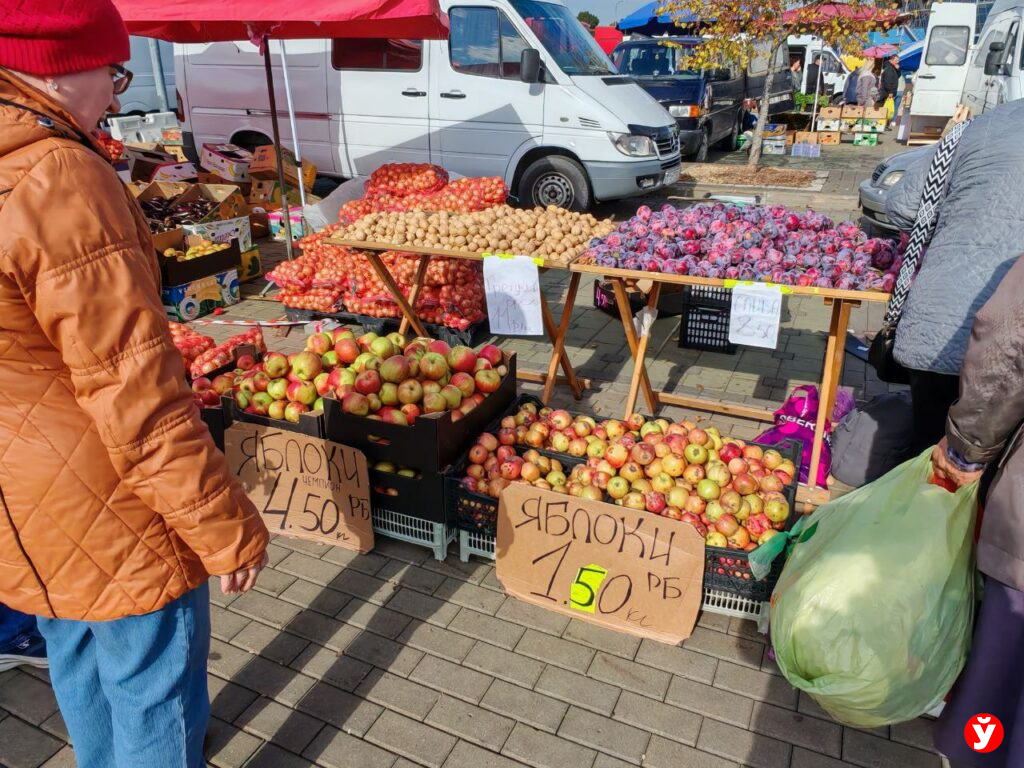 Ярмарка в Чижовка Арене
