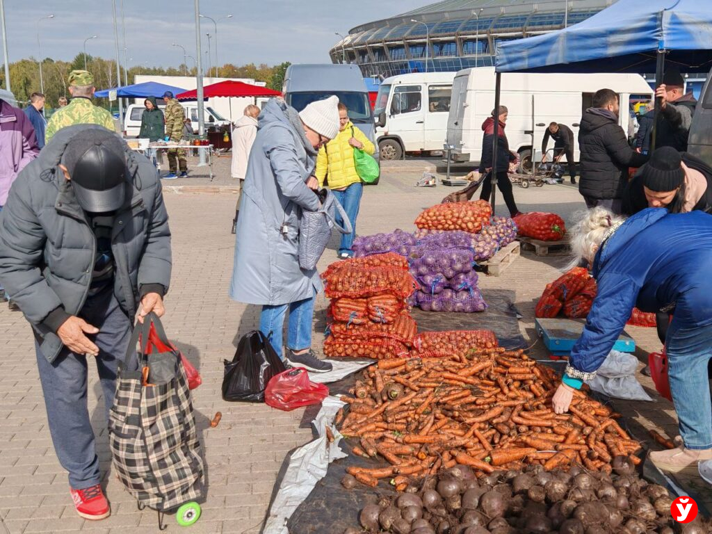 Ярмарка в Чижовка Арене