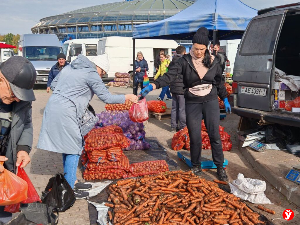 Ярмарка в Чижовка Арене