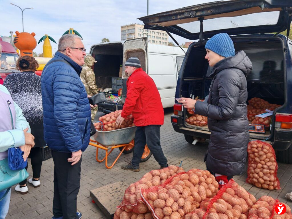 Сходили за картошкой на осенние ярмарки в Минске и в Березино и сравнили цены