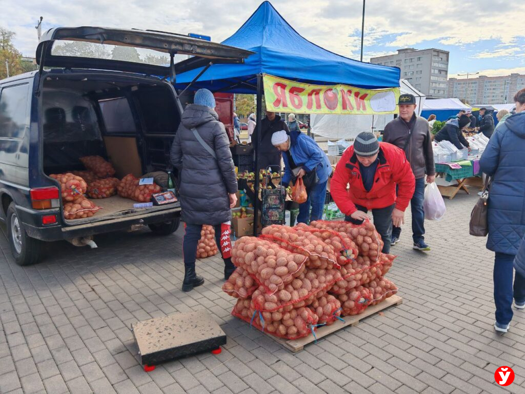 Картошка в "Минск-Арене"