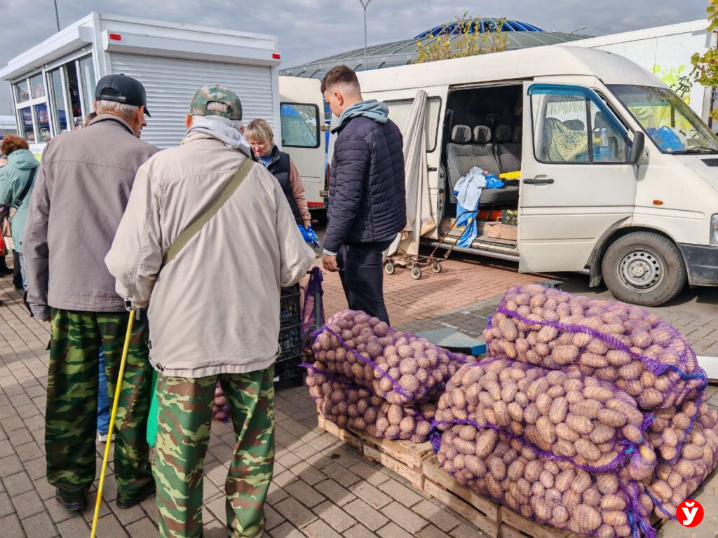 Картошка в "Минск-Арене"
