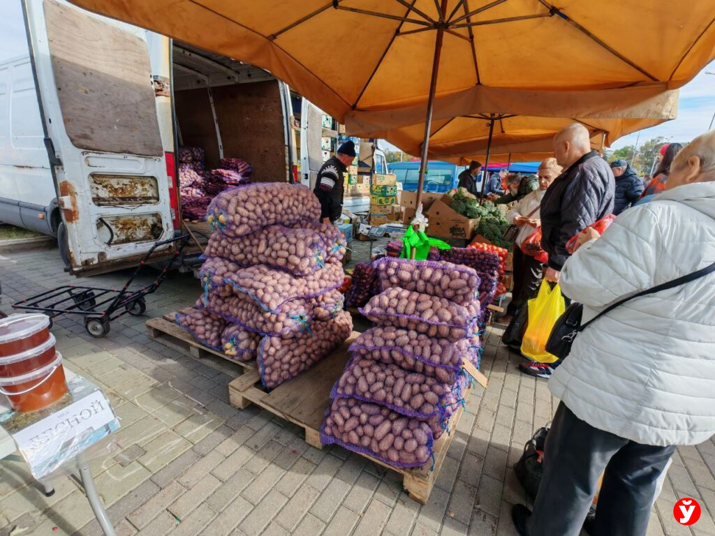 Картошка в "Минск-Арене"