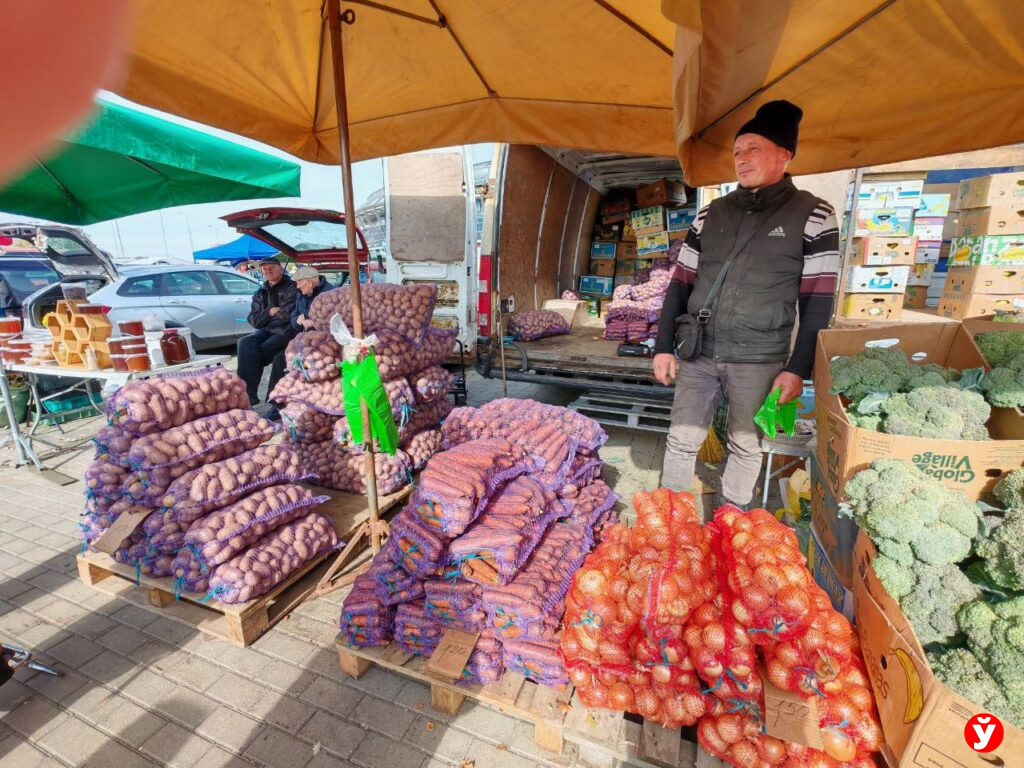 Картошка в "Минск-Арене"