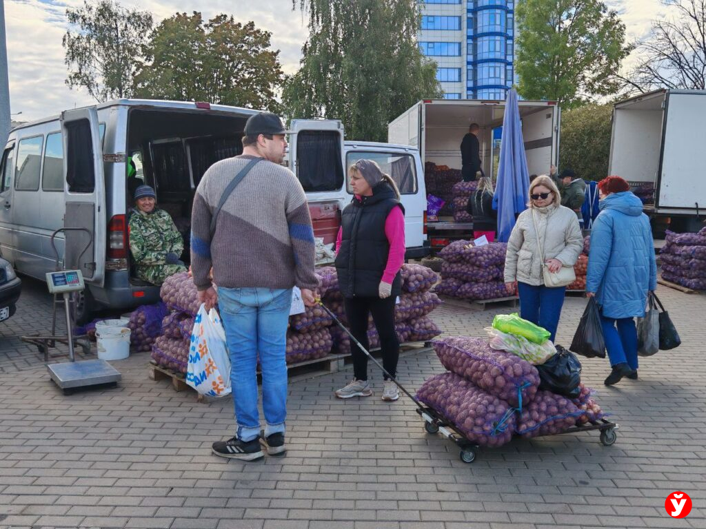 Картошка в "Минск-Арене"